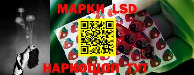 PSILOCYBIN Донской