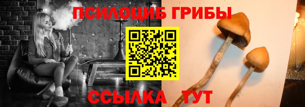 Беслан  Псилоцибиновые грибы прущие грибы  Вход с VPN 
